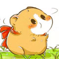 徐芝麻 徐芝麻